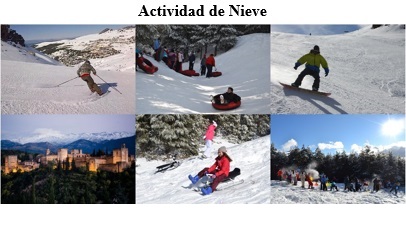 1servicioadn