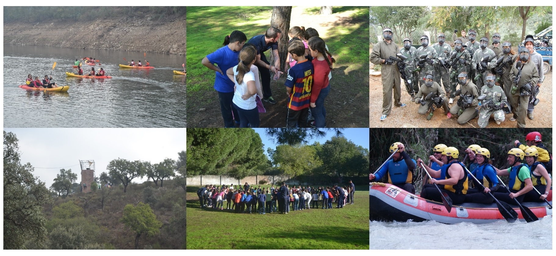 actividad-de-campo