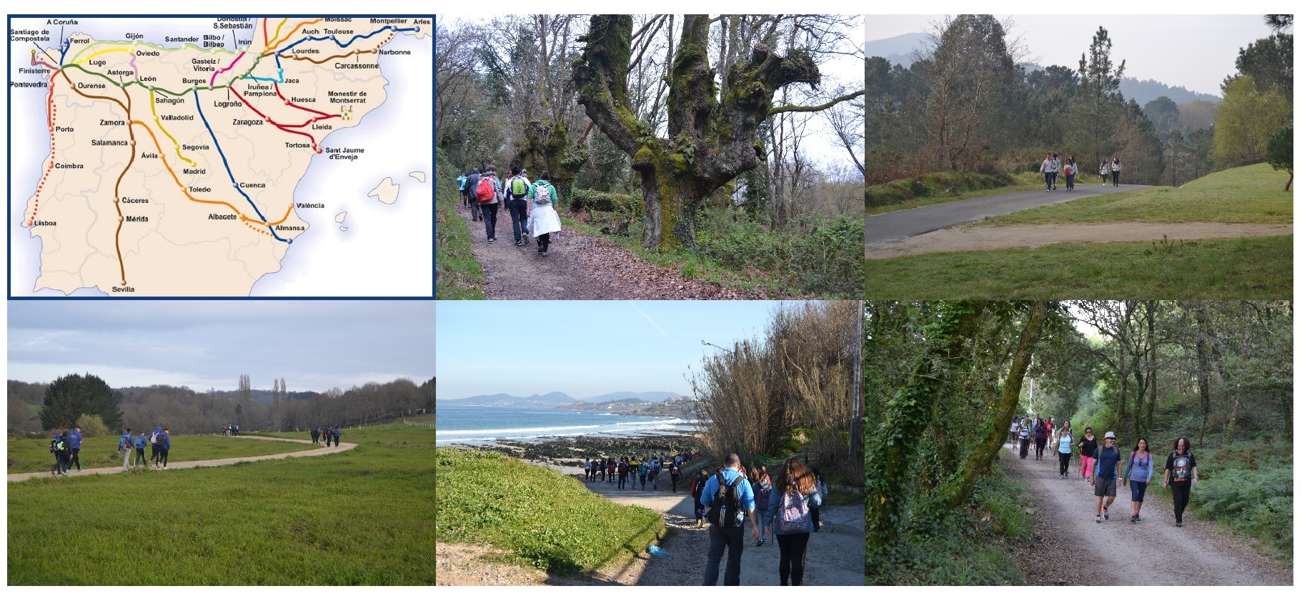 camino-de-santiago